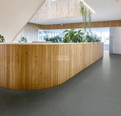 Forbo Sphera Energetic 51244 vivid ebony фото 2 | FLOORDEALER